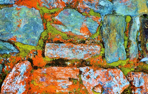 Stones, wall, paint, color, moss
