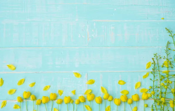 Flowers, background, tree, blue, Board, yellow, petals, yellow