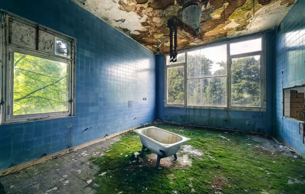 Picture room, interior, bath