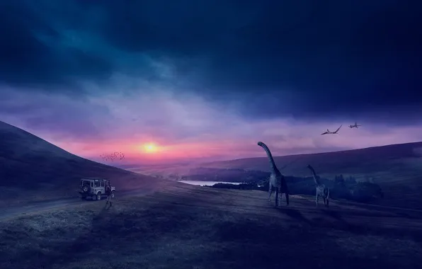 Road, field, machine, animals, the sky, the sun, clouds, landscape