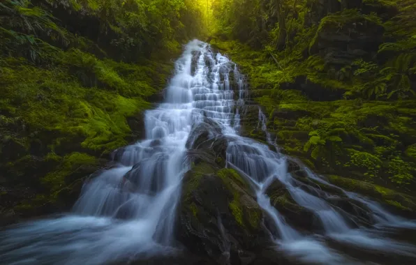 Forest, waterfall, cascade, Washington State, Washington, Staircase Falls