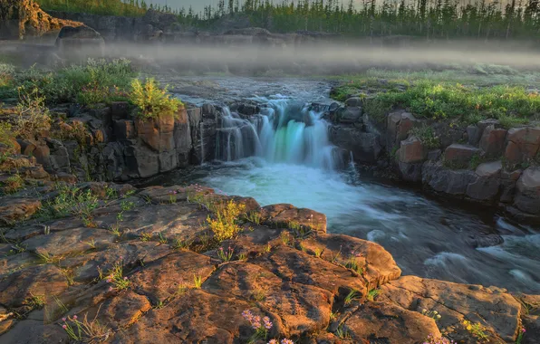Flowers, river, stream, waterfall, Russia, Krasnoyarsk Krai, Vladimir Ryabkov, The Putorana Plateau