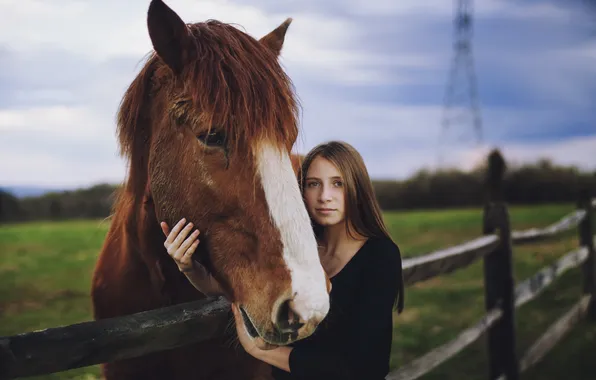 Picture girl, mood, horse