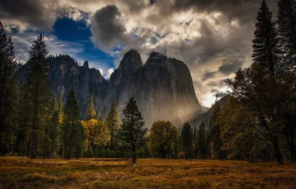 Picture autumn, forest, the sky, clouds, mountains, CA, USA, Yosemite National Park