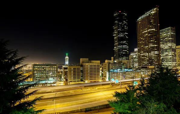 Road, the sky, night, the city, lights, Seattle, skyscrapers