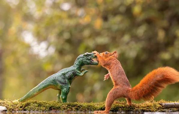 Look, pose, toy, dinosaur, fight, walnut, protein, fight