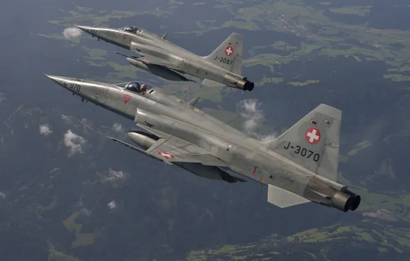 Picture multi-role fighter, easy, F-5E Tiger II