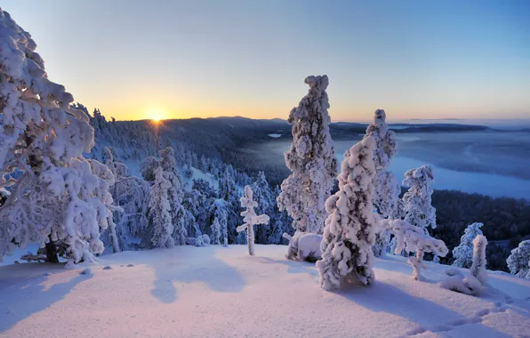 Winter, snow, trees, landscape, Hand, panorama, Finland, Finland