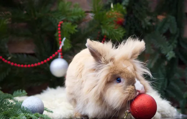 Balls, fluffy, rabbit, Christmas decorations