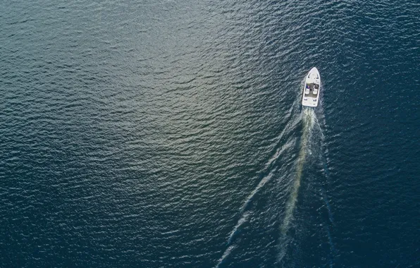 Picture sea, nature, boat