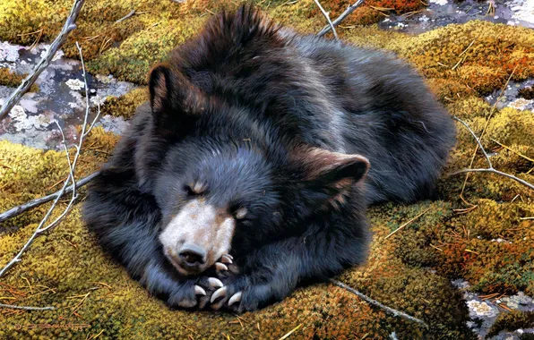 Moss, sleep, bear, art, Carl Brenders