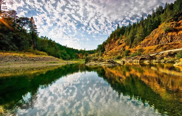 FOREST, WATER, The SKY, CLOUDS, GREENS, RIVER, REFLECTION, TREES