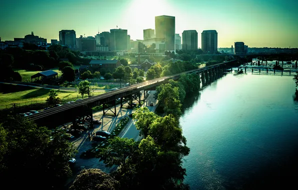 Trees, the city, home, morning