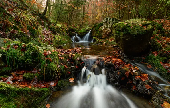 Autumn, forest, stream, waterfall, Belgium, cascade, fallen leaves