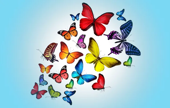 Butterfly, colorful, blue, butterflies, design by Marika