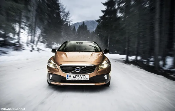 Picture winter, road, forest, speed, Volvo, Volvo V40 Cross County