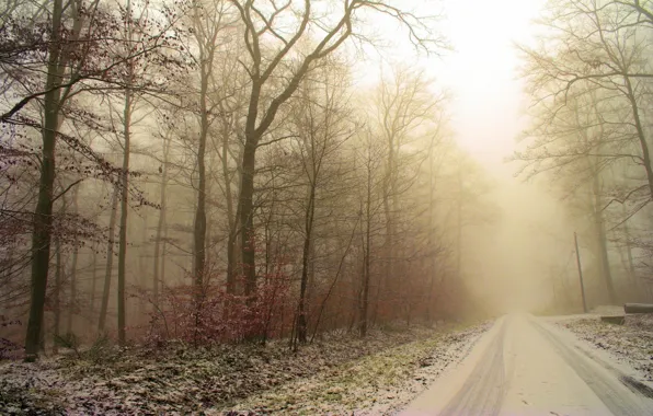 Picture frost, road, forest, snow, trees, traces, Winter