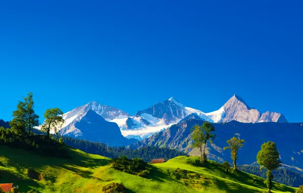 Greens, grass, trees, landscape, mountains, nature, hills, Switzerland