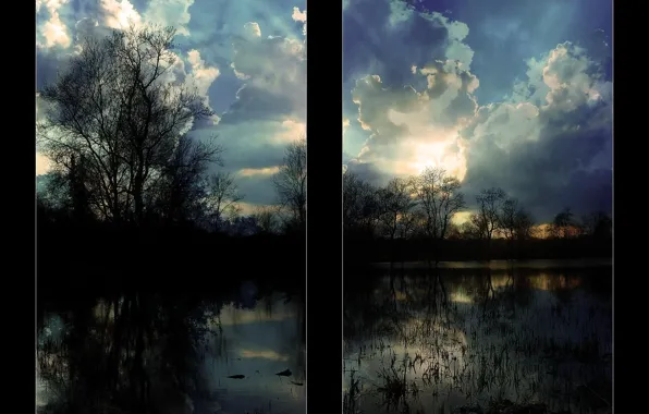 Picture The sky, Clouds, Trees, Anda Bereczky 2006