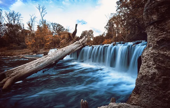 Trees, nature, river