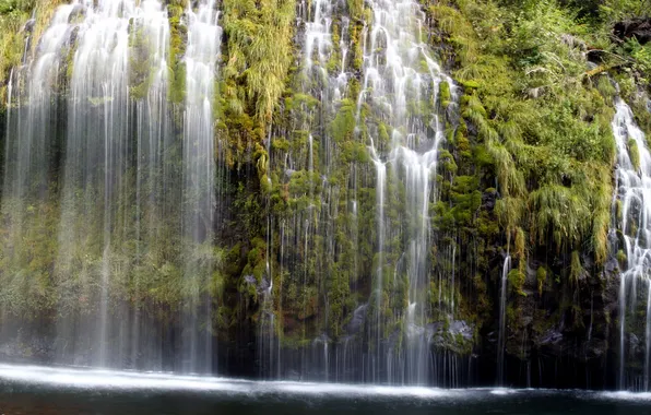 Grass, nature, river, waterfall