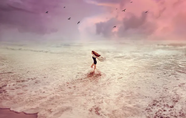Picture Sunset, Sea, Girl, Wave, Birds