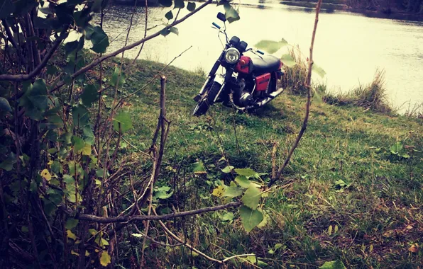 Trees, nature, lake, Jupiter