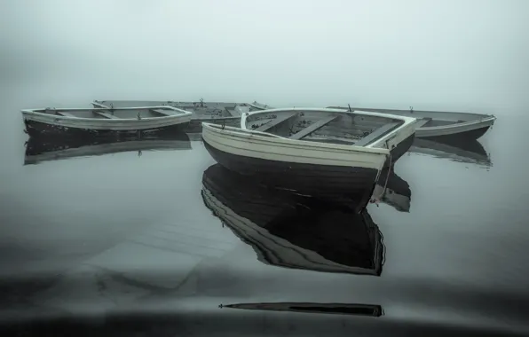 Fog, lake, boat