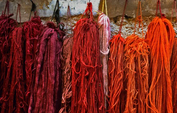 Wool, Rome, Italy, strand