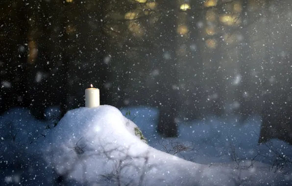 Picture forest, snow, candle