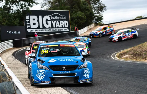 Peugeot, Peugeot, Race, Racing, Touring, Touring, TCR, TCR Australia