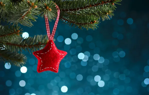 Stars, toy, spruce branch