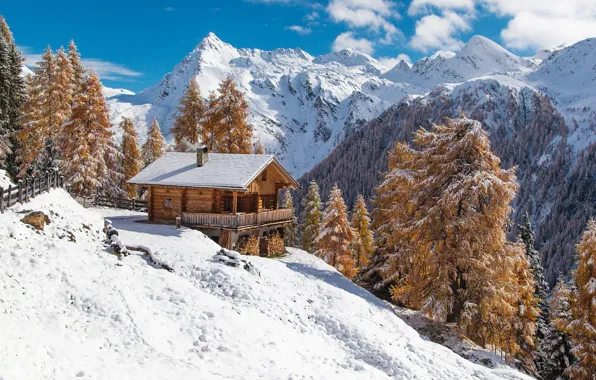 Winter, forest, clouds, light, snow, mountains, nature, house