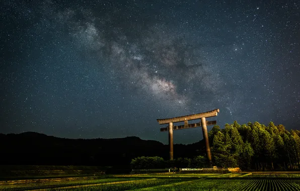 Space, stars, night, the milky way, torii gate