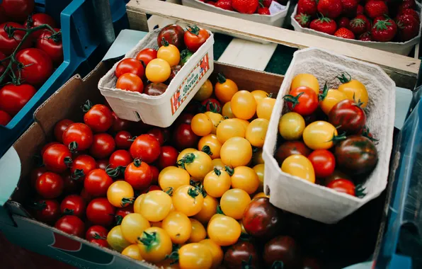 Yellow, red, tomatoes, a lot, tomatoes