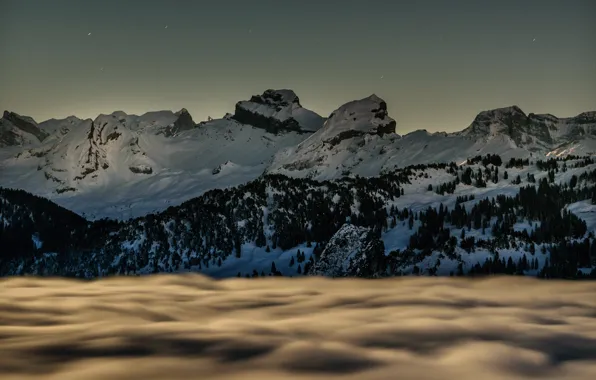 Picture winter, forest, the sky, snow, mountains, fog, tops, the evening