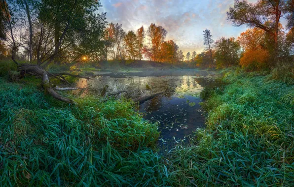 Picture autumn, grass, the sun, rays, landscape, nature, river, Konstantin Voronov