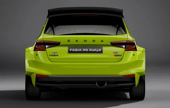 Picture rear view, Skoda, 2022, Rally2, Fabia RS