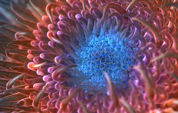 Tentacles, render, macro, anemone