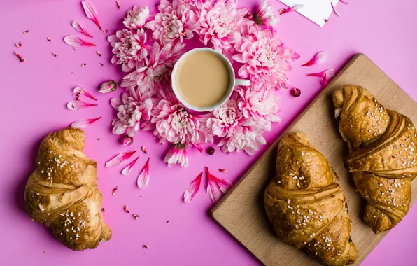 Picture flowers, coffee, Breakfast, petals, chrysanthemum, pink, flowers, cup