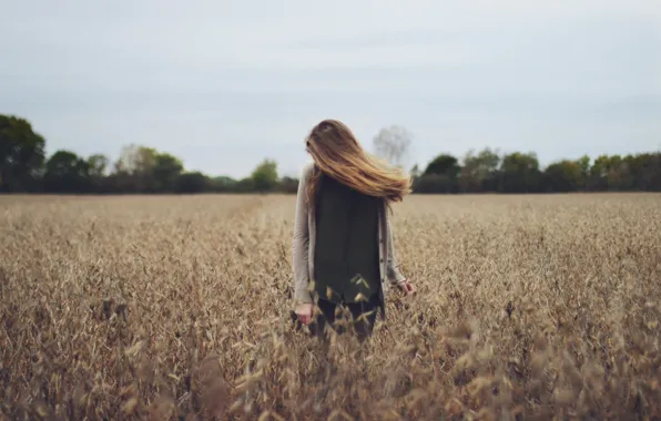 Field, forest, hair, wing, forest, field, hair, wing