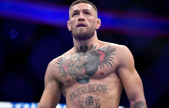 MMA, UFC, Conor McGregor, Conor McGregor