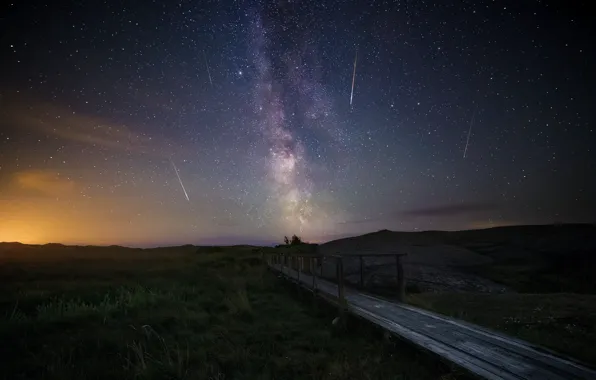 Picture the sky, stars, the Perseids