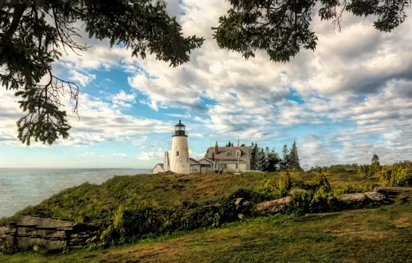 Picture branches, the ocean, lighthouse, Bay, Maine, Man, Pemaquid Point Lighthouse, Bristol