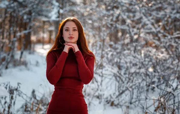 Picture winter, look, pose, smile, Girl, Alexey Gilev