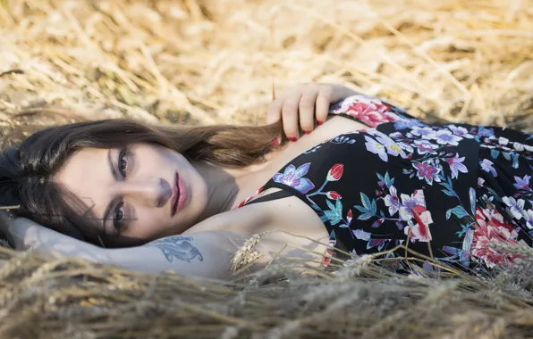 Look, face, background, hair, lies, cutie, Erika