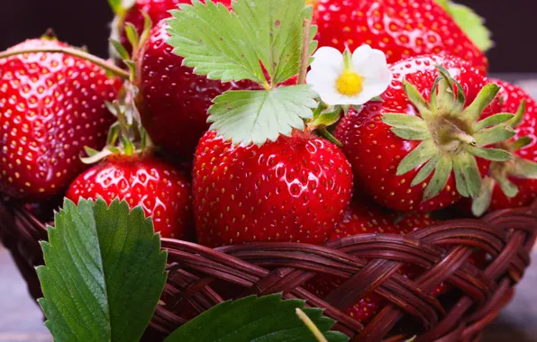 Strawberry, berry, leaves