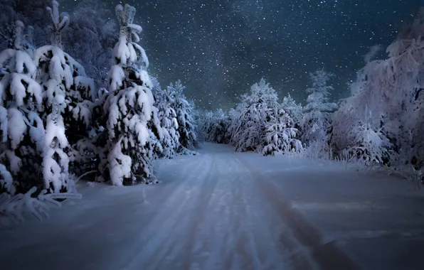Winter, road, forest, the sky, snow, trees, snowflakes, night