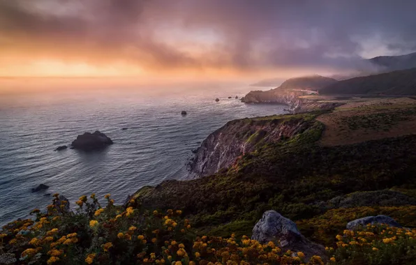 Sea, the sky, fog, stones, rocks, shore, haze, the bushes