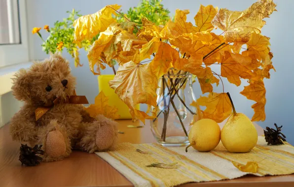 Picture leaves, photo, toy, bear, still life, pear